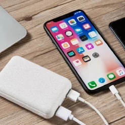 AKASHI p-bank 10000mah 2 usb+usb-c paille/ble< Energie