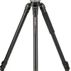 BENRO TREPIED A373FBS8PRO KIT< Pieds Trépieds