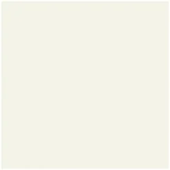 COLORAMA FOND 355 X 300 BLANC< Accessoires
