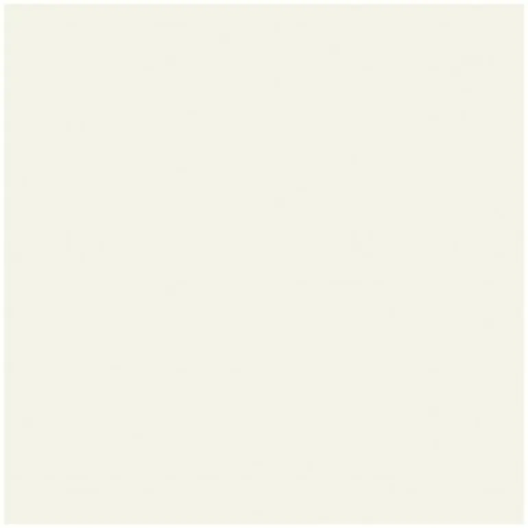 COLORAMA FOND 355 X 300 BLANC< Accessoires