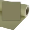 COLORAMA FOND 272 X 110 LEAF< Accessoires