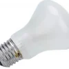 ELINCHROM LAMPE PILOTE 100 W/196V E27< Eclairage Studio