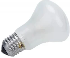 ELINCHROM LAMPE PILOTE 100 W/196V E27< Eclairage Studio