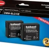 HAHNEL BATTERIE COMPATIBLE PANASONIC BLG10E< Energie
