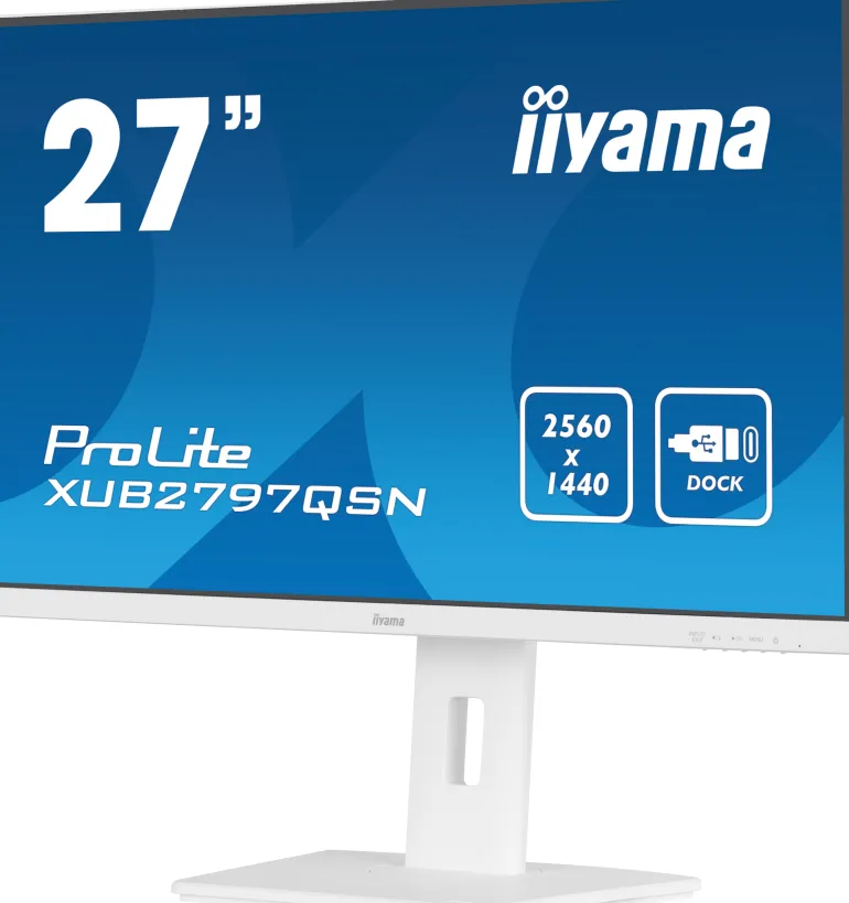 IIYAMA 24.ips.100hz.hdmi.dp.usb-c.rj45.reg haut< Moniteurs