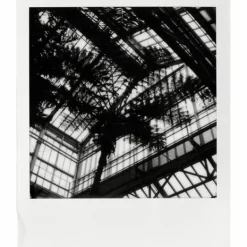 IMPOSSIBLE film sx70 b/w gen2.< Instantané
