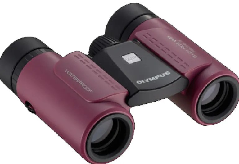 OLYMPUS JUMELLES RC II WP - 8X21 MAGENTA< Jumelles