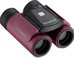 OLYMPUS JUMELLES RC II WP - 8X21 MAGENTA< Jumelles