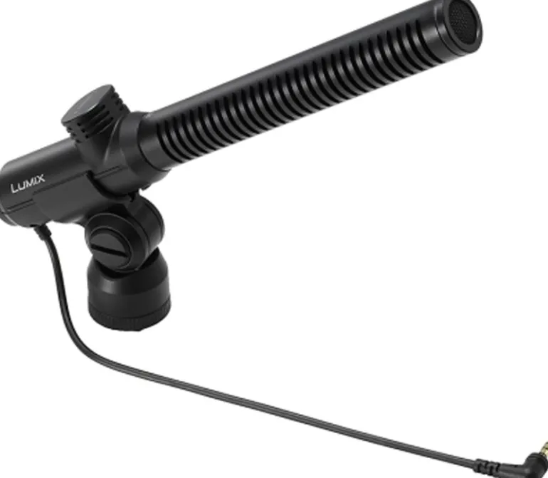 PANASONIC MICRO MS2< Son