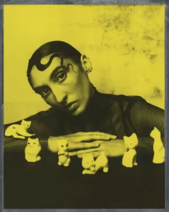 POLAROID 8X10 DUOCHROME NOIR ET JAUNE< Instantané