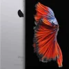 REMADEINFRANCE iphone 6s + 32 go reconditionne R gris< Téléphone Mobile