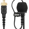 RODE PHOTO R100365 - MICRO CRAVATE MINI JACK/TRS< Son