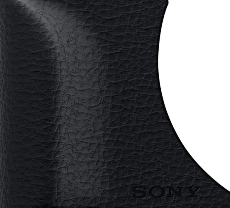 SONY grip agr2b (rx100m3).< Energie